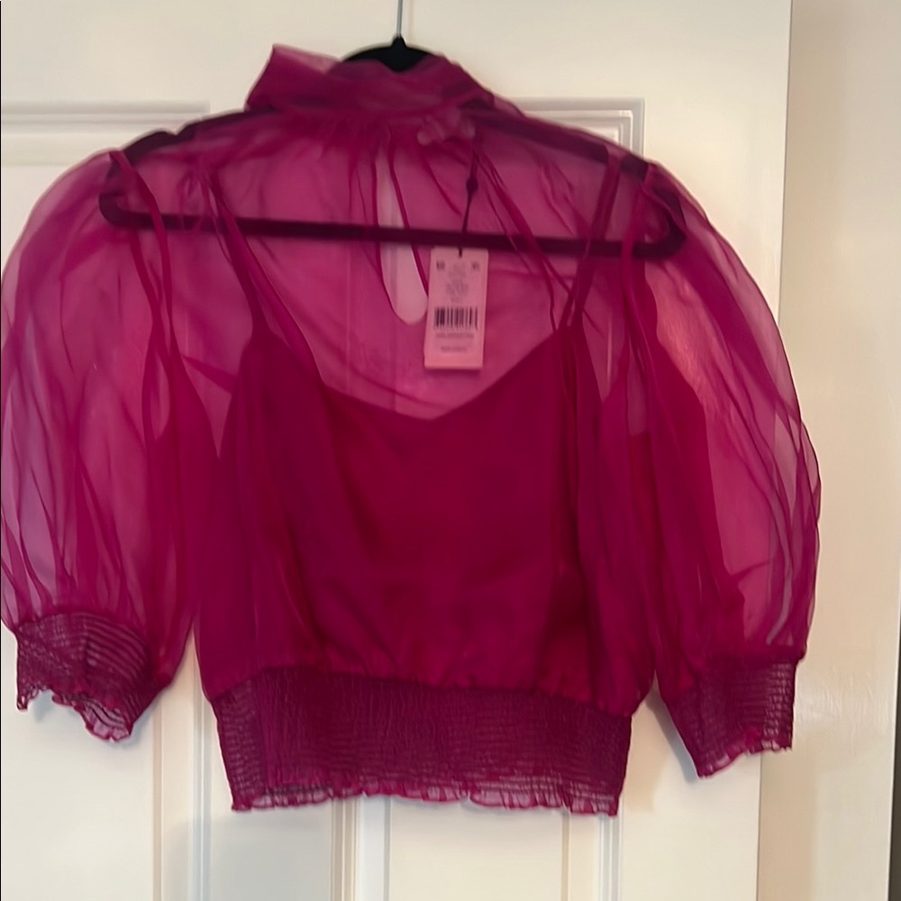 Cinq à Sept Vibrant organza Sheer Magenta Blouse